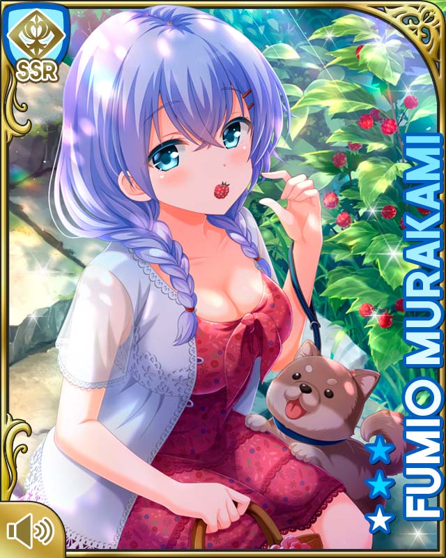 村上文緒 Gf 仮 カードギャラリー